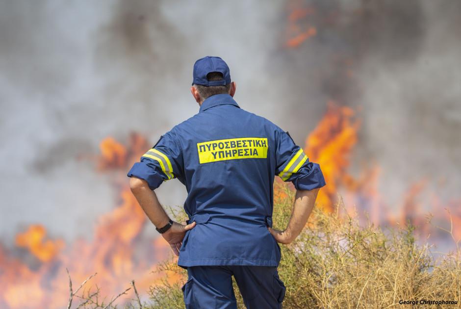 5265092659588838 image