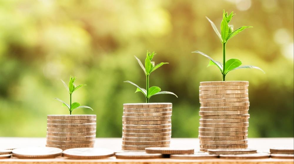 5265764694601446 green economy