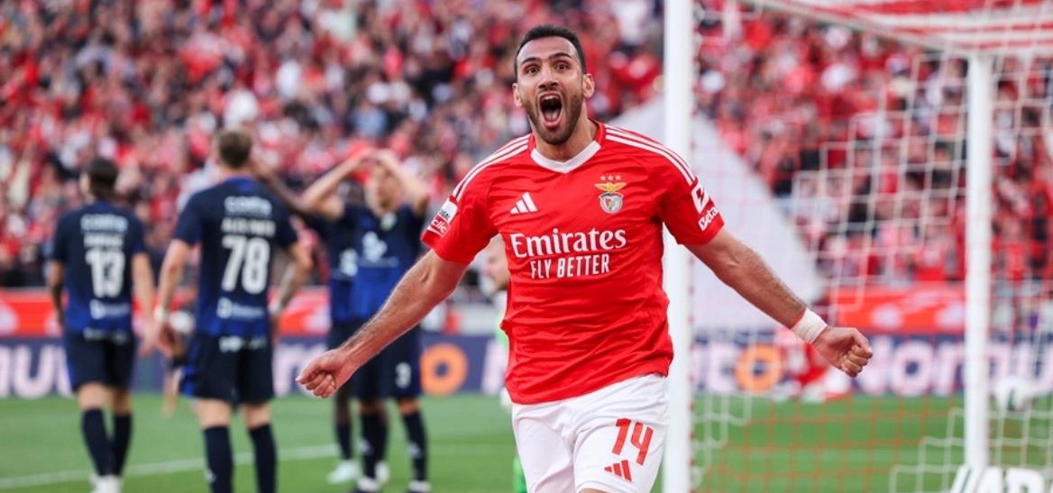 5267415609338995 cats