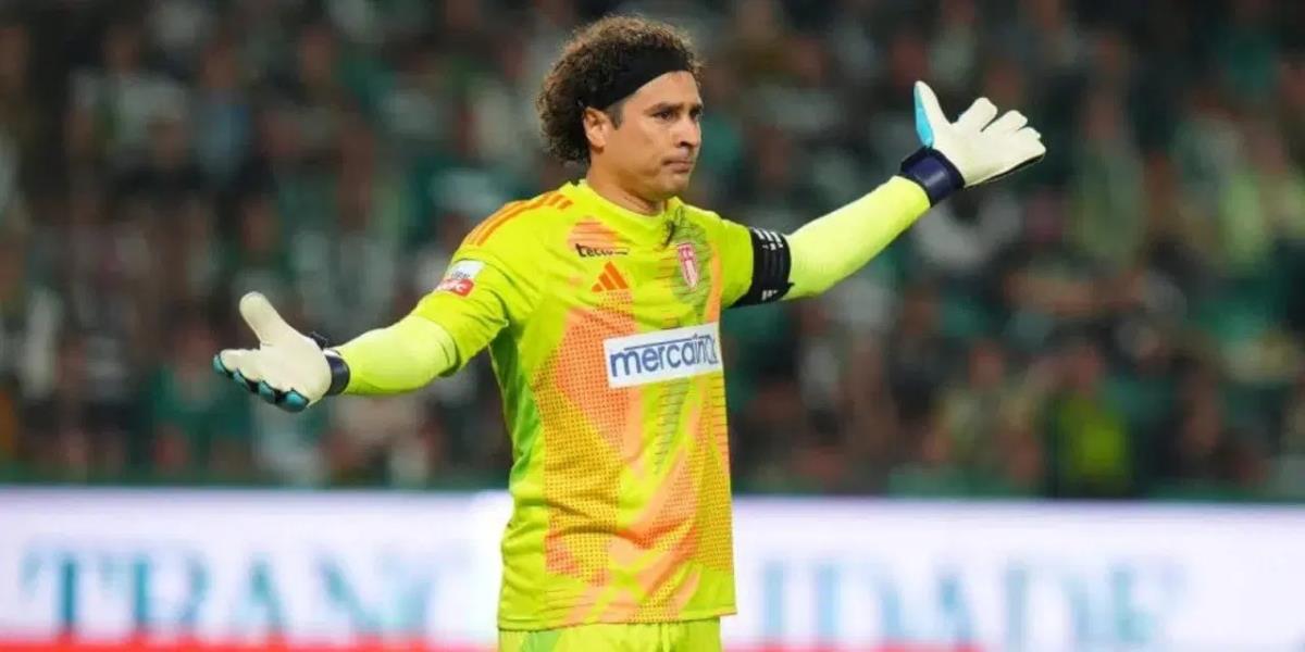 5268466953669605 Memo-Ochoa-