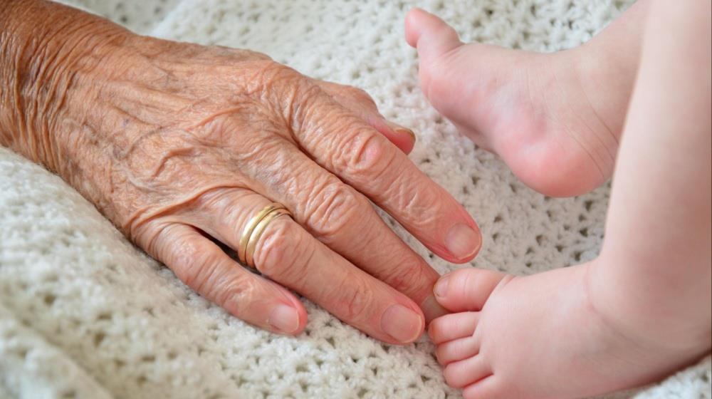 5269002795196065 age population elderly baby grandparent