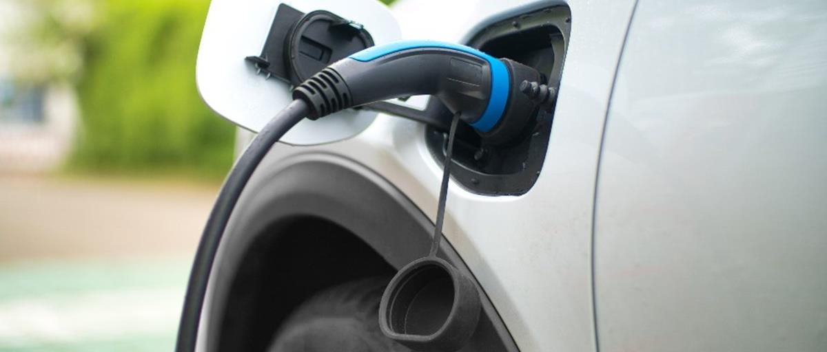 5269323550200745 cats