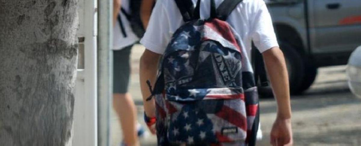 5273507536569435 cats