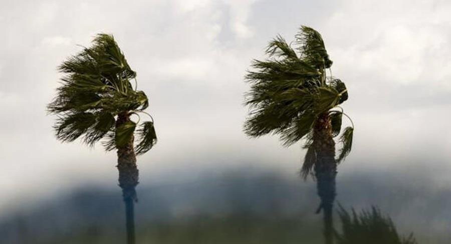 5275838025221930 kairos-anemoi