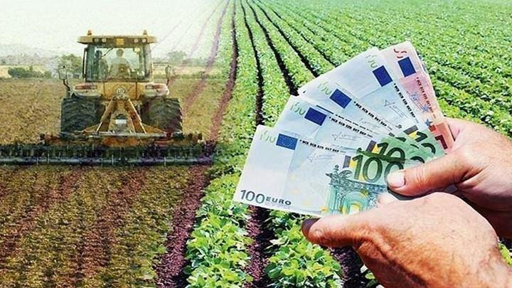 5276845410943412 agrotes
