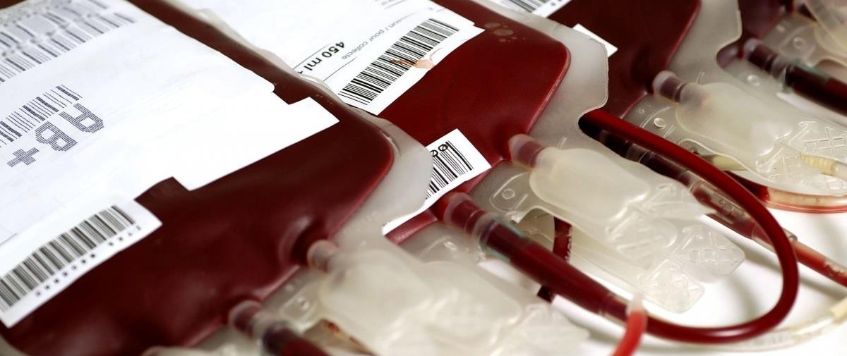 5275369962419644 ee57513e-bigstock-Blood-metaggisi