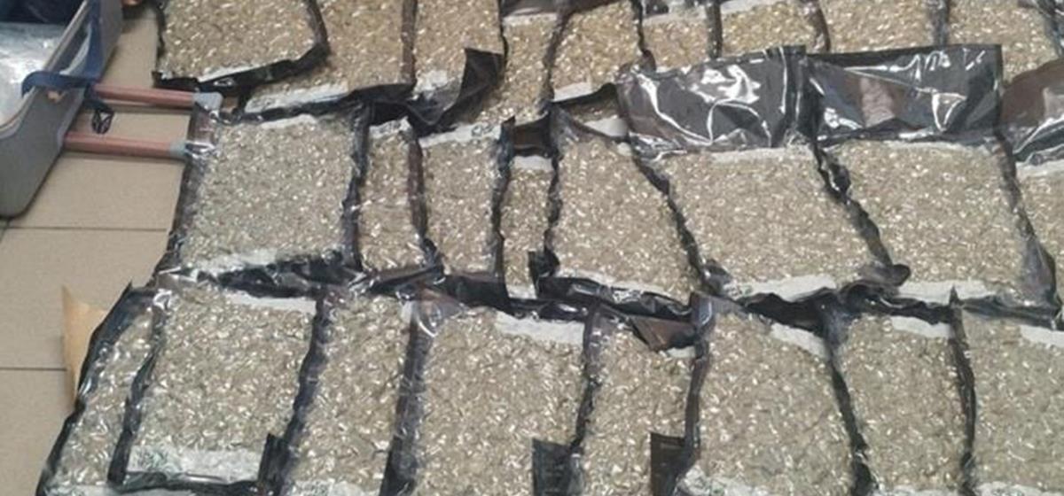 5279342731267888 cats