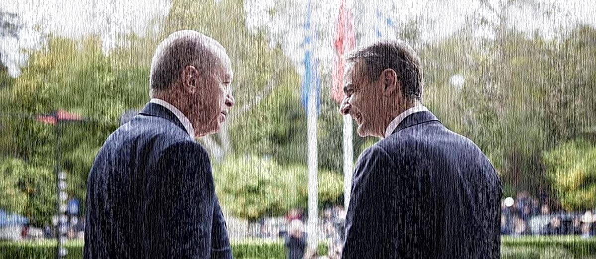 5279447260363649 cats