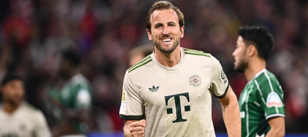 5281920061468223 cats