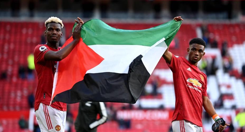 5281937361428012 image