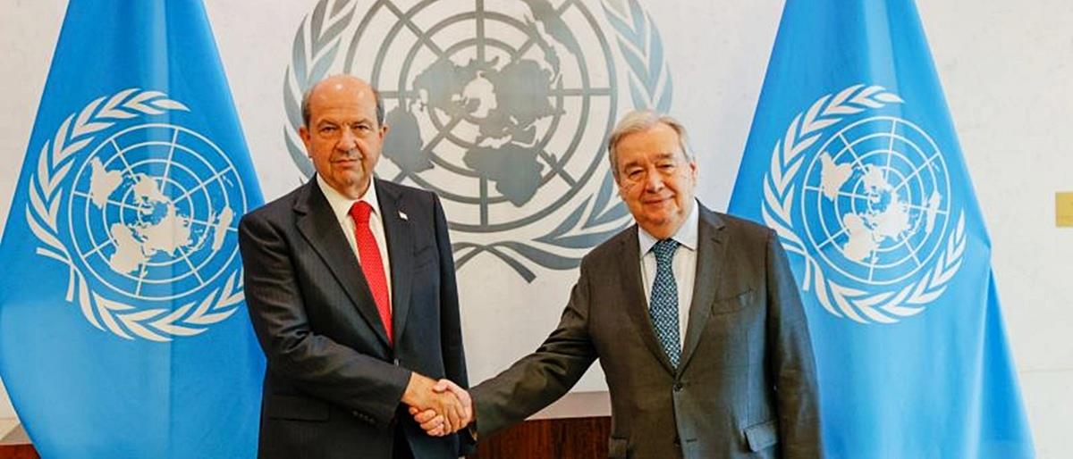 5281959188517645 cats