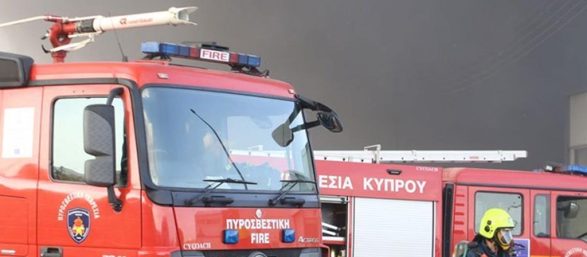 5281982361313199 cats