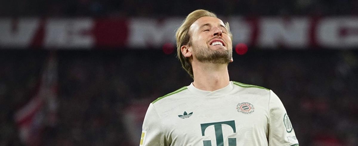 5282033990152969 cats