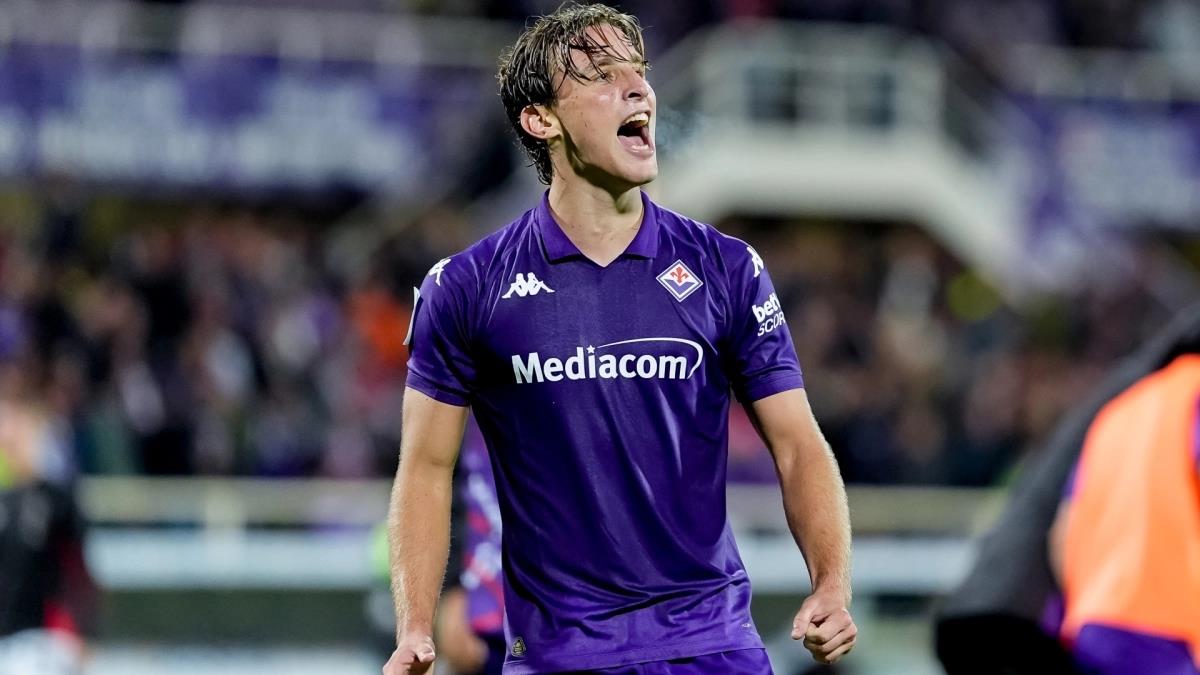 5282090094048974 image