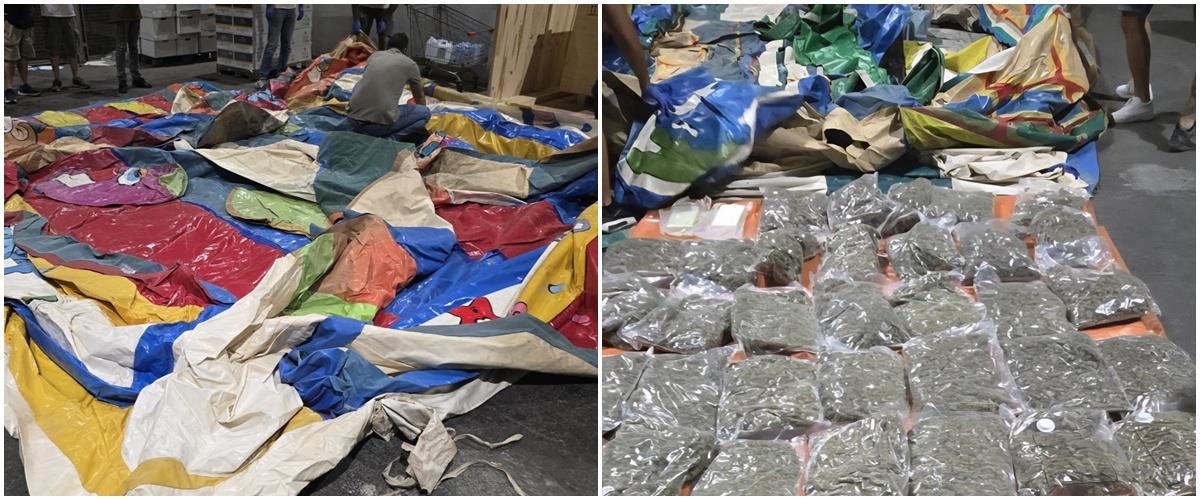 5282173135601517 004