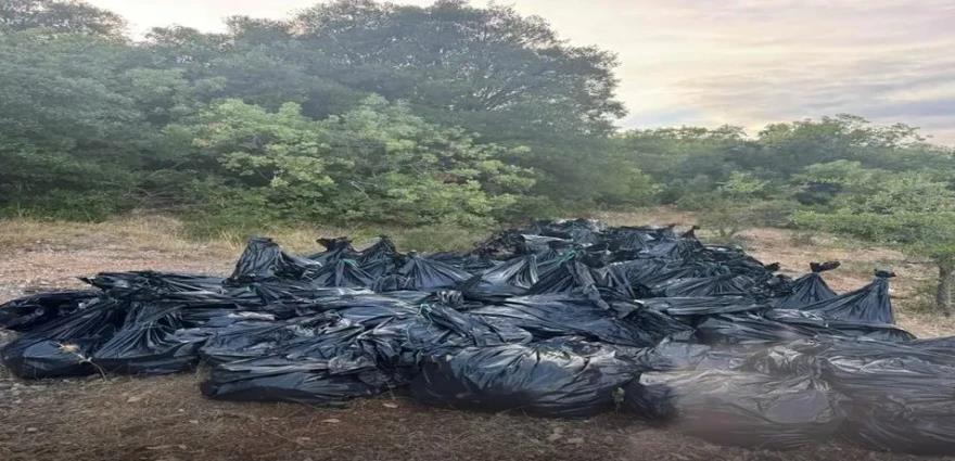 5282285126249487 image