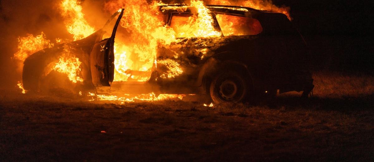 5283615797461635 cats