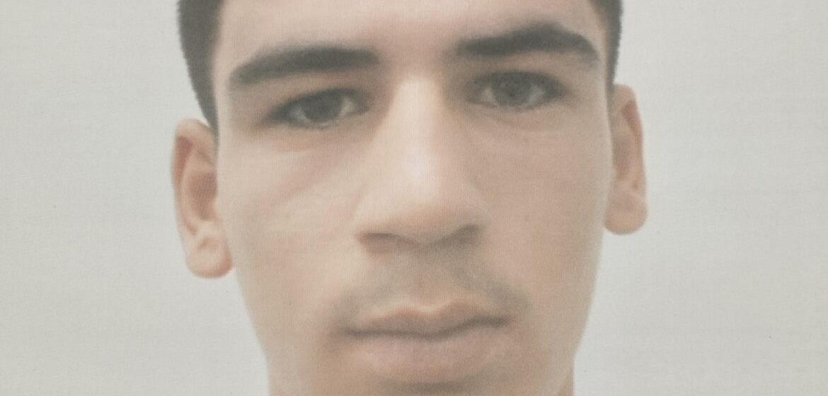 5283851818775066 image