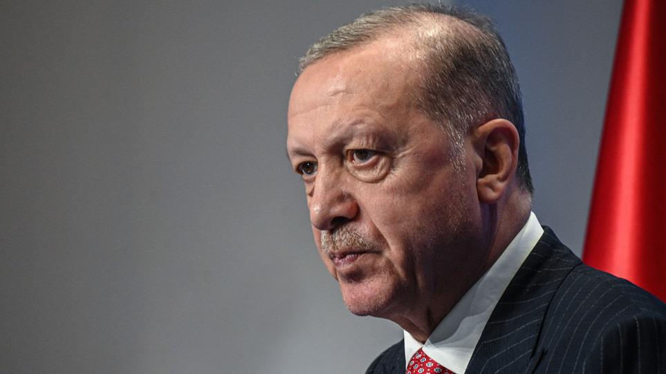 5284103353426314 erdogan turkey art