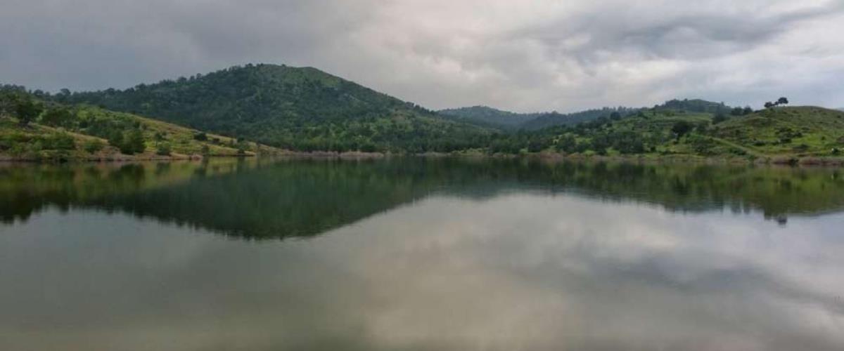 «Εκπέμπουμε SOS, στα όριά τους οι γεωργοί και κτηνοτρόφοι»-Αίτημα για στήριξη πέντε κοινοτήτων στη δυτική Λευκωσία