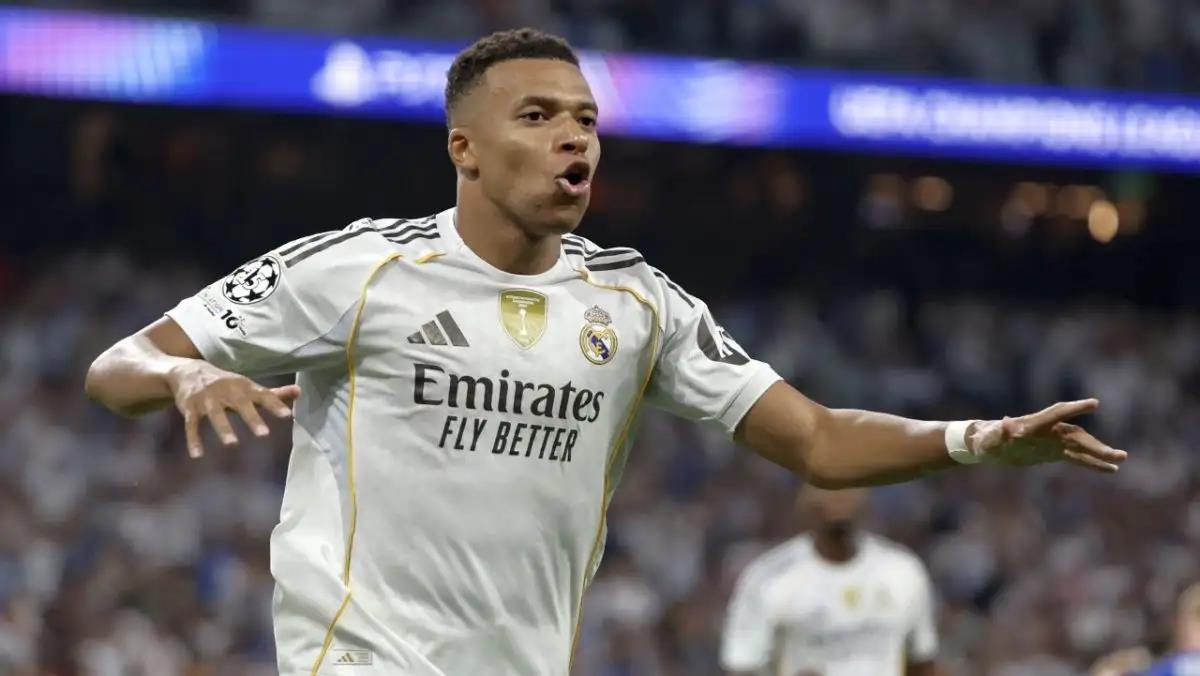 5294219955448926 image