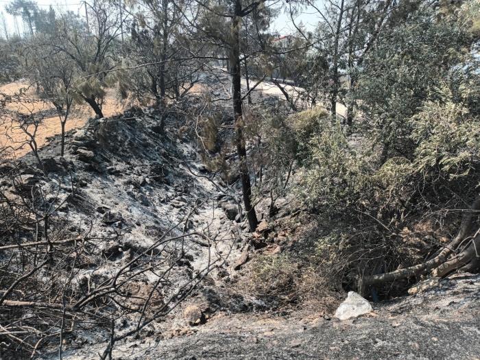 Εθελοντές αποκατέστησαν ξερολιθιές στο Σούνι-Ζανατζιά Εθελοντές αποκατέστησαν ξερολιθιές στο Σούνι-Ζανατζιά