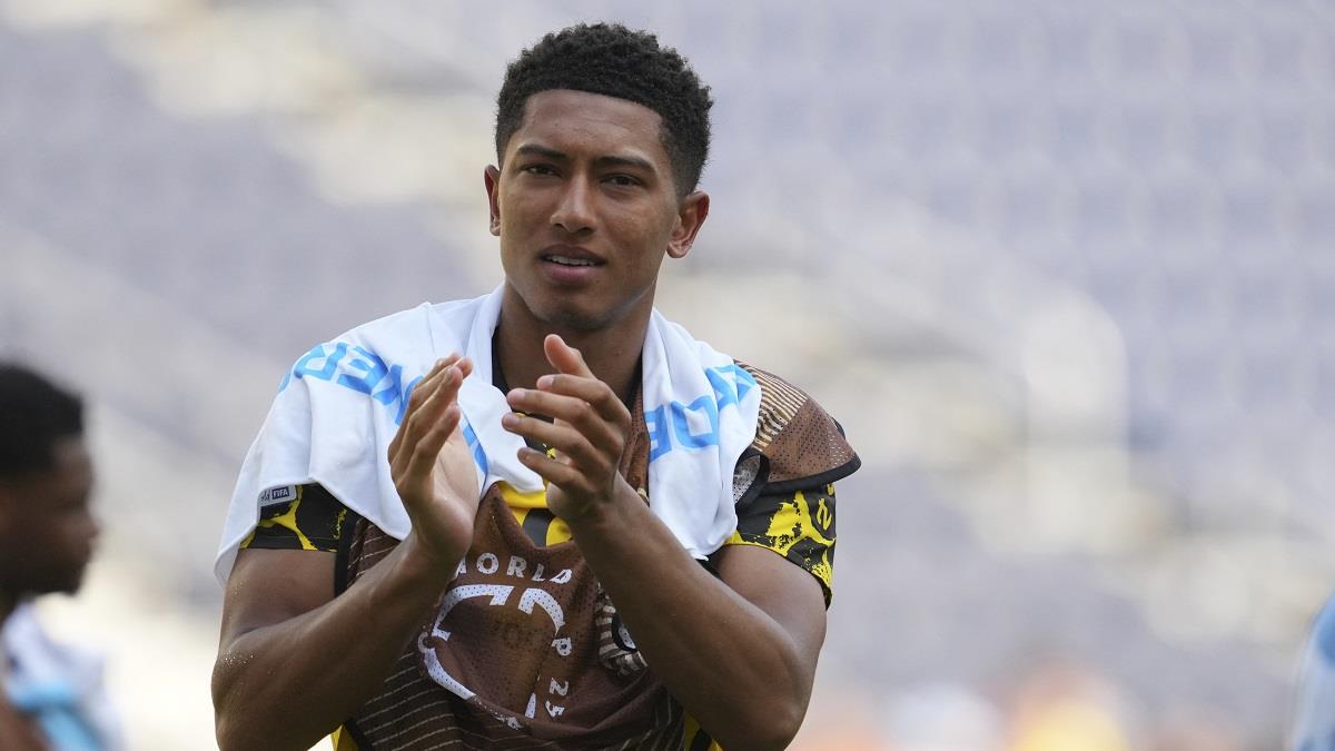 5295829896475131 image