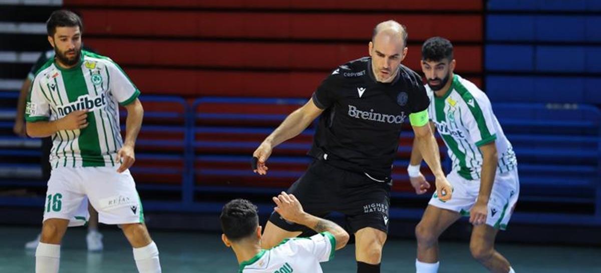 5298337810447616 cats