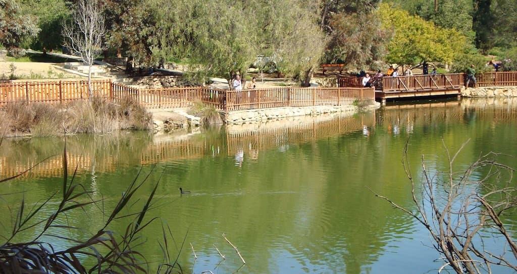 5298657998229392 pezoporia-parko-athalassas-july-25