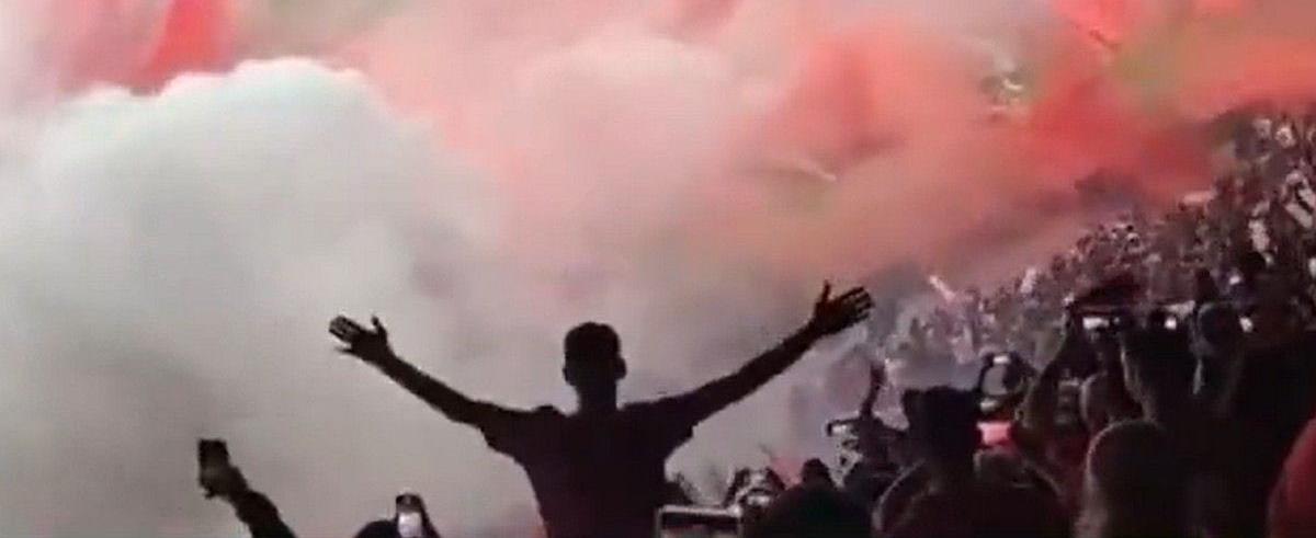 5301791239053028 cats