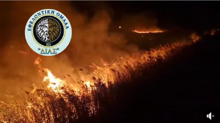 Ξέσπασε πυρκαγιά στην περιοχή Ποταμιάς-Σε κινητοποίηση η Πυροσβεστική Ξέσπασε πυρκαγιά στην περιοχή Ποταμιάς-Σε κινητοποίηση η Πυροσβεστική