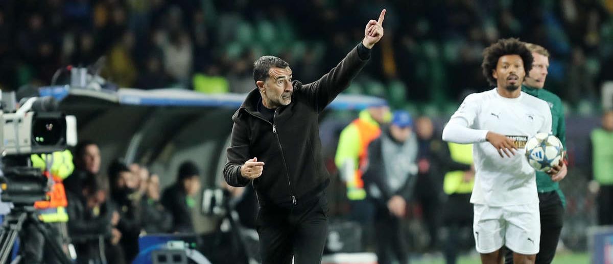 5303547127466057 cats