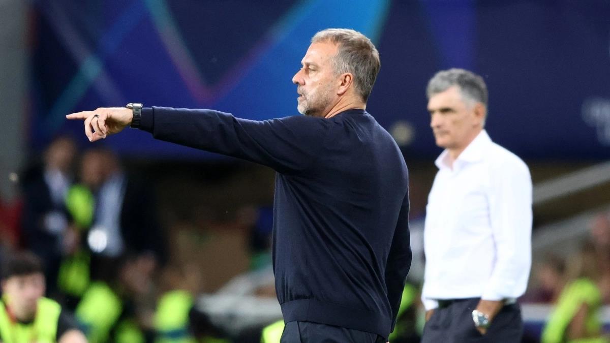 5303577543089938 image