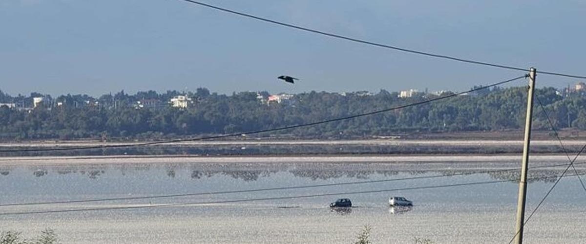 Εξετάζεται η επανατοποθέτηση πασσάλων και η τοποθέτηση ογκόλιθων σε σημεία εισόδου οχημάτων στην αλυκή Λάρνακας Εξετάζεται η επανατοποθέτηση πασσάλων και η τοποθέτηση ογκόλιθων σε σημεία εισόδου οχημάτων στην αλυκή Λάρνακας