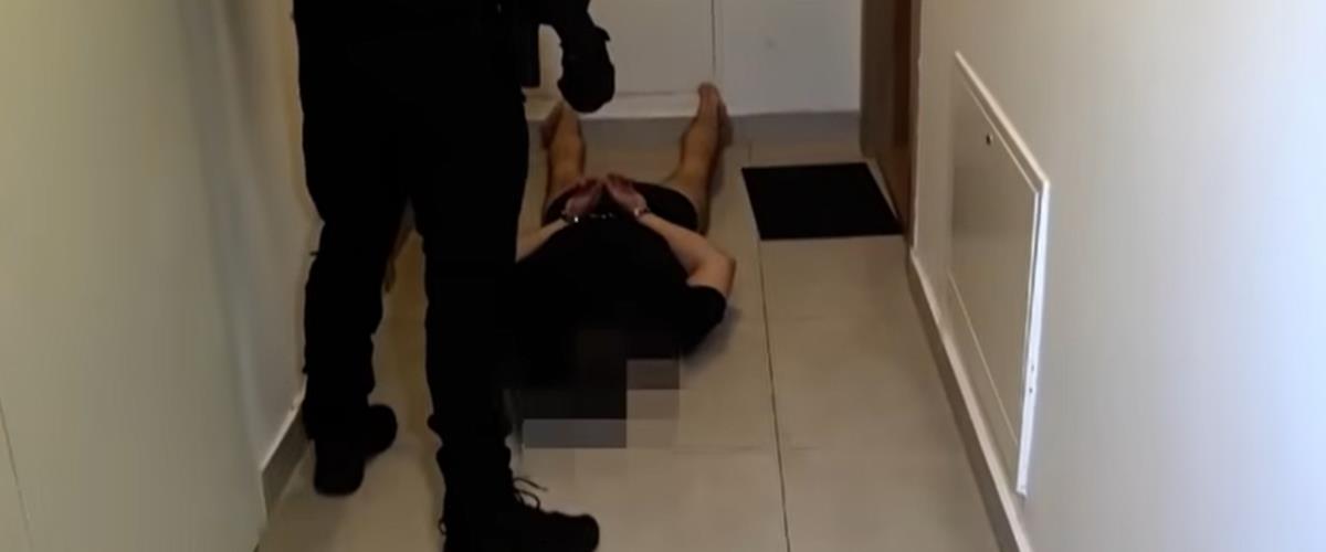 5304632590153172 cats