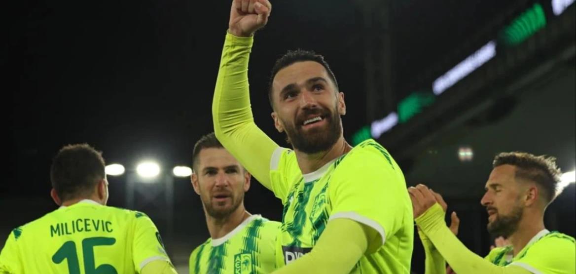 5305277705864946 cats