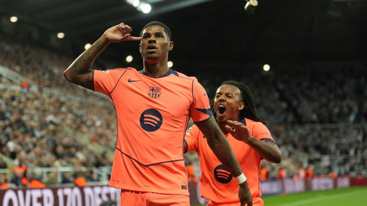 5305461940767339 image