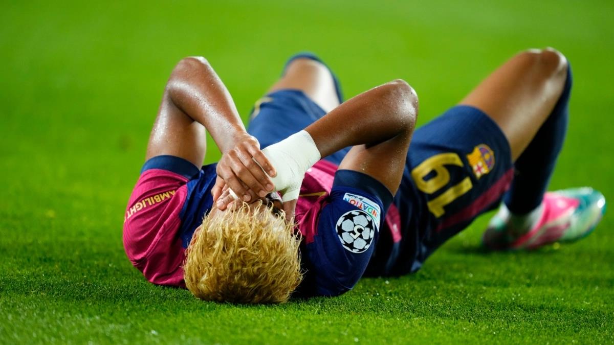 5305469588203098 image