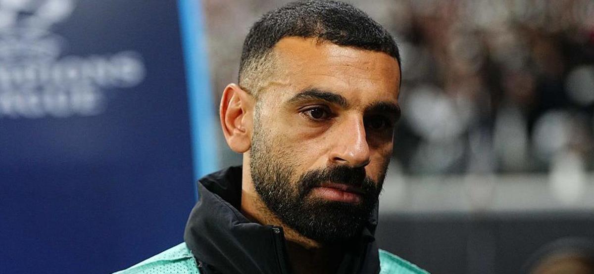 5306144794467374 cats