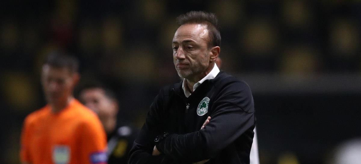 5306364740886446 cats