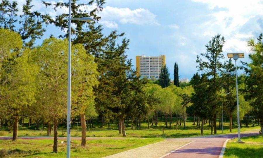 Ξέσπασε πυρκαγιά στο Πάρκο Παιδαγωγικής Ακαδημίας λόγω ρίψης κροτίδας Ξέσπασε πυρκαγιά στο Πάρκο Παιδαγωγικής Ακαδημίας λόγω ρίψης κροτίδας