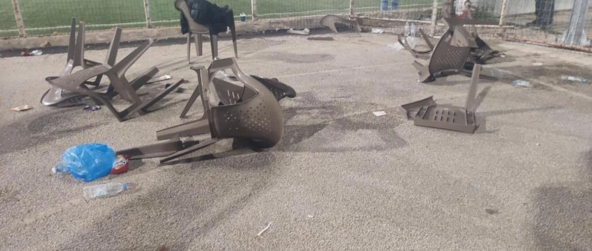 5307816174154350 cats