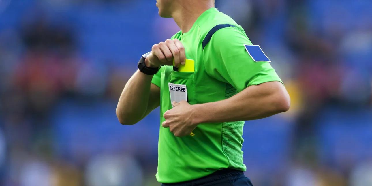 5308238463255761 image