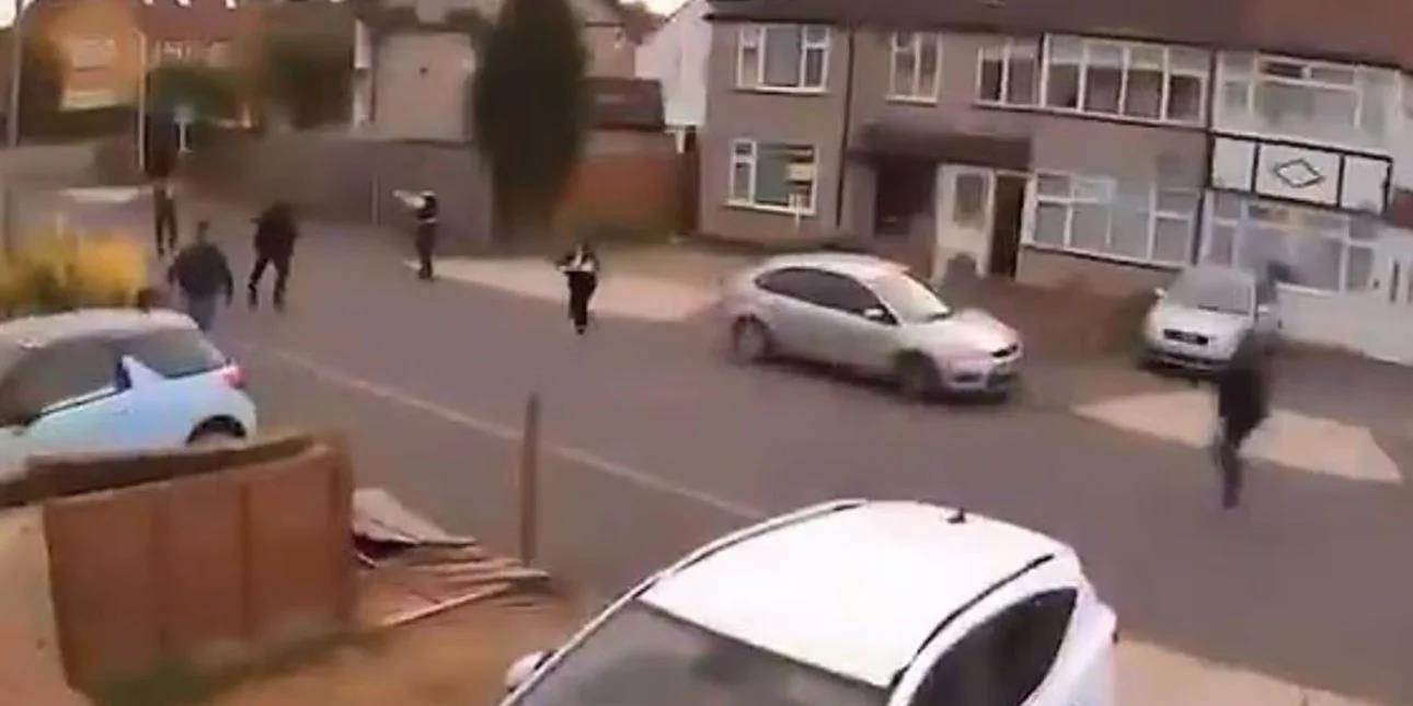 5309133813582532 image