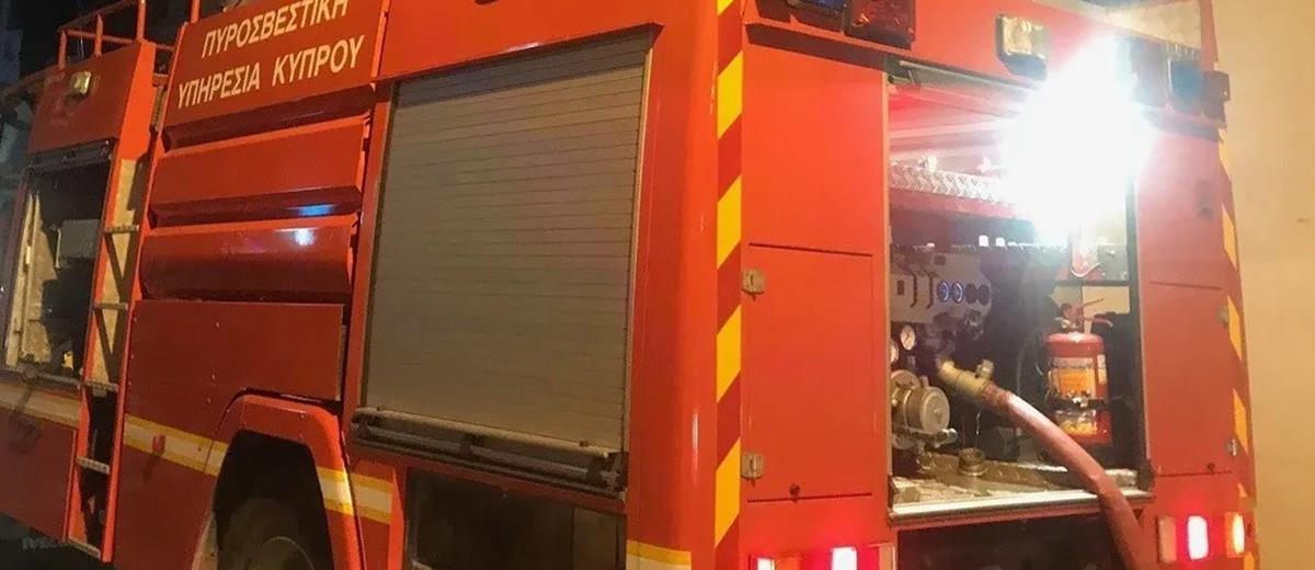 5309540556515157 cats