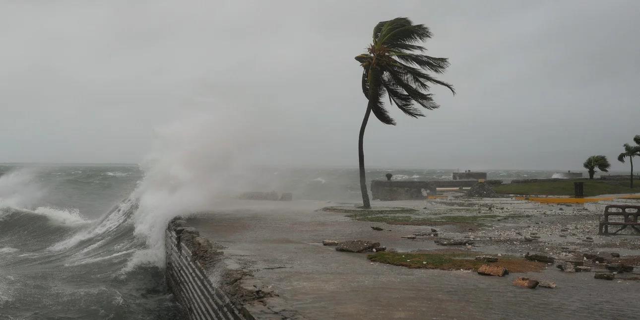 5309543661337953 image