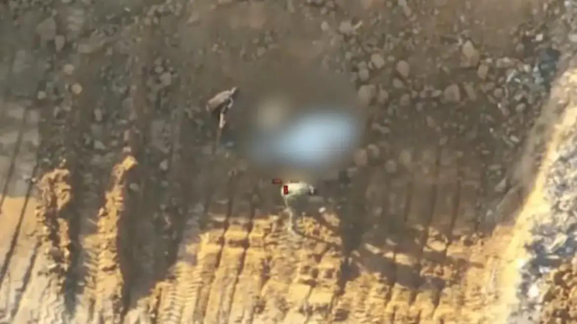 5309549489541713 image