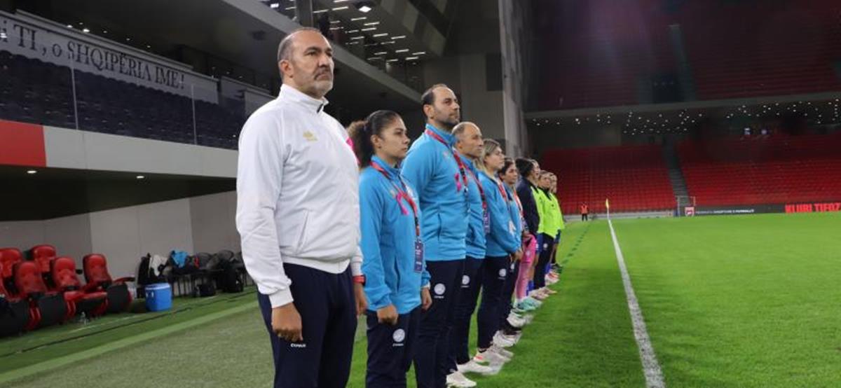 5309606825077539 cats