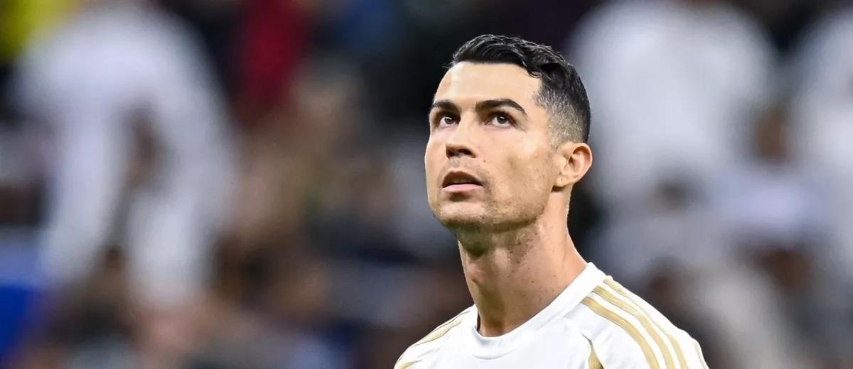 5309765358254665 cats