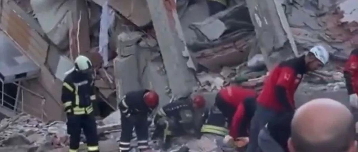 5309766886766217 cats